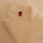 아파트 프리 아파트만 베세노바 *